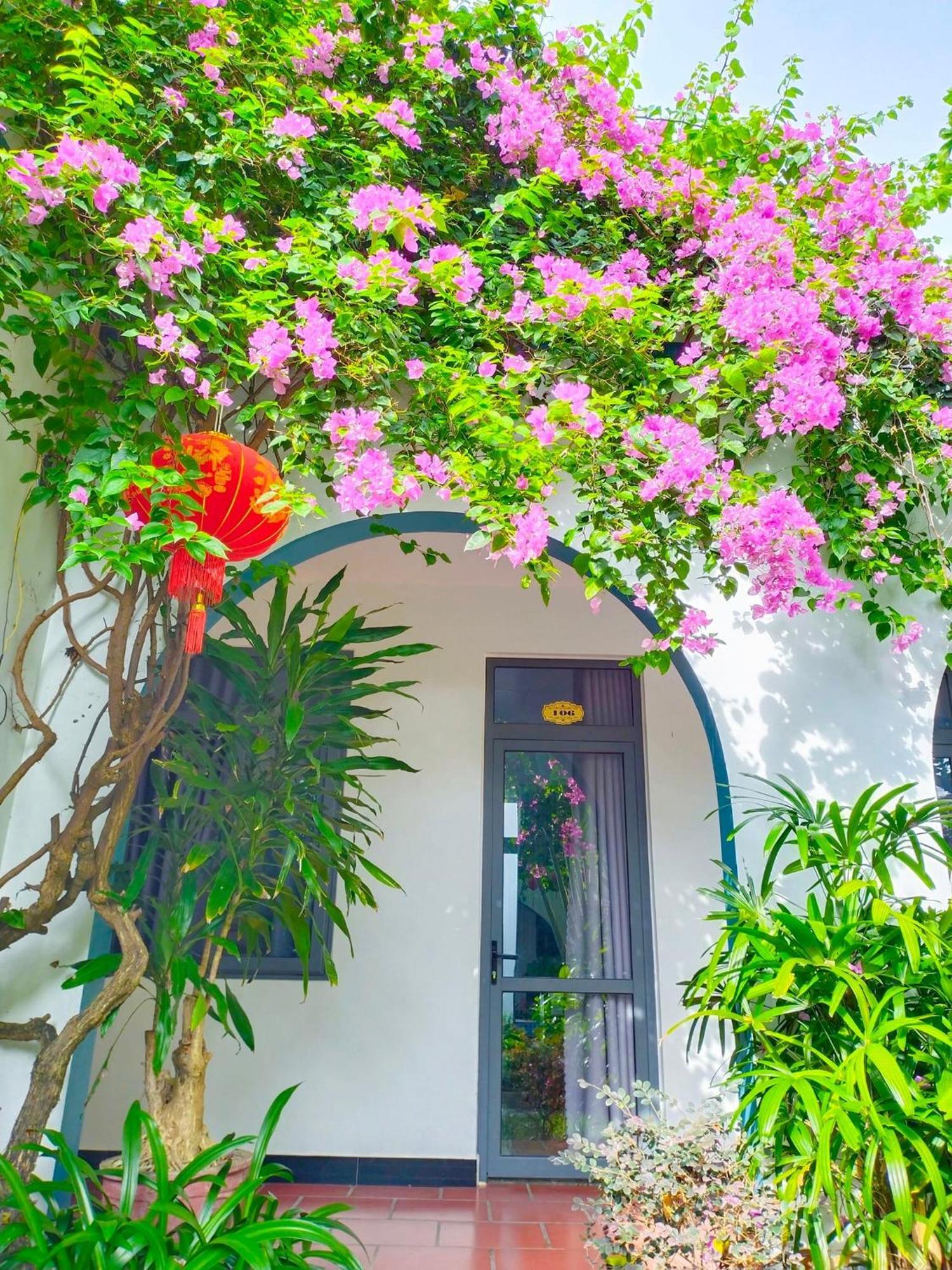 Tropical Homestay Phu Yen توي هوا المظهر الخارجي الصورة